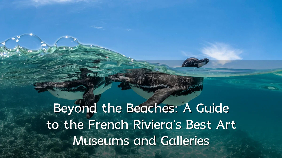 Beyond the Beaches: A Guide to the French Riviera's Best Art Museums and Galleries