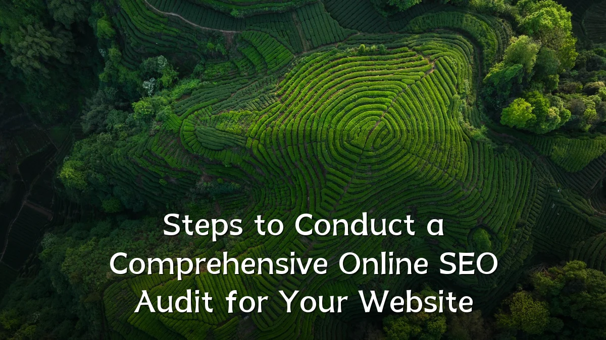 Steps to Conduct a Comprehensive Online SEO Audit for Your Website