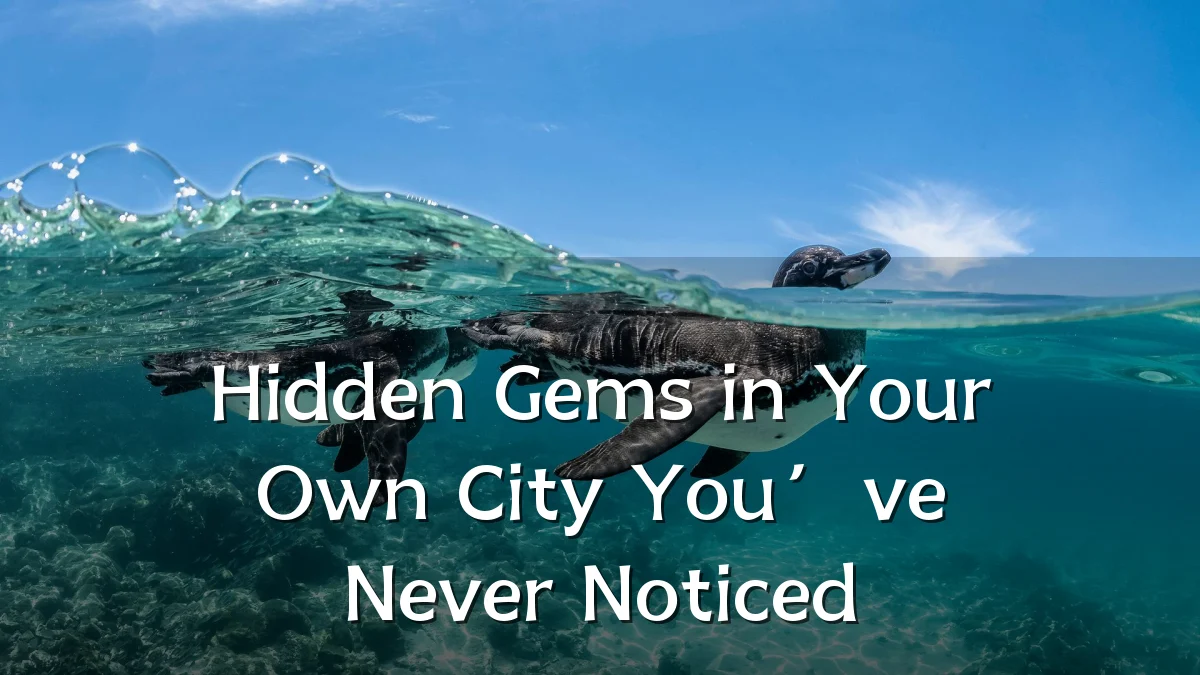 Hidden Gems in Your Own City You’ve Never Noticed