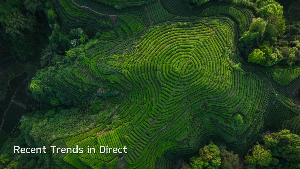 Recent Trends in Direct