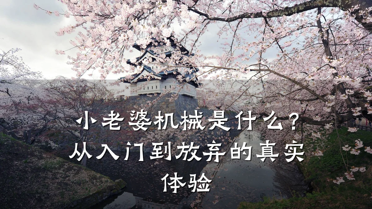 小老婆机械是什么?从入门到放弃的真实体验