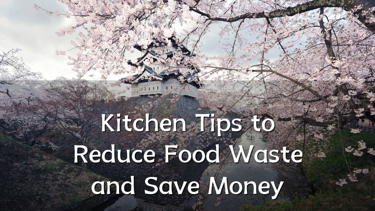 Kitchen Tips to Reduce Food Waste and Save Money