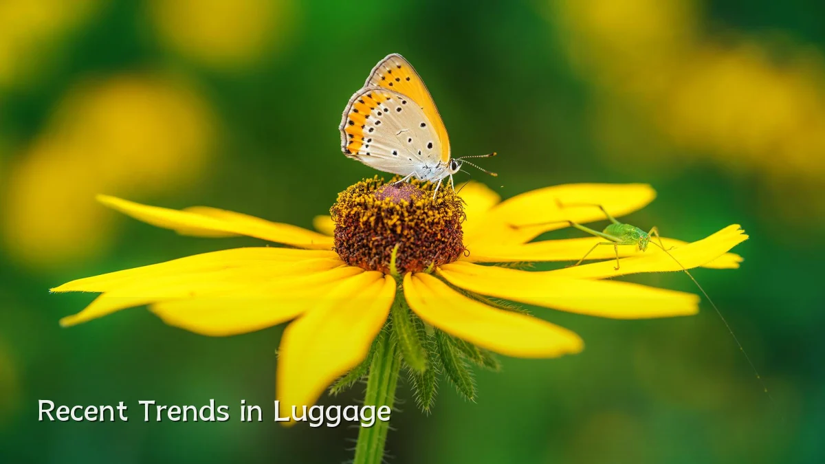 Recent Trends in Luggage