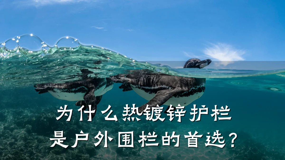 为什么热镀锌护栏是户外围栏的首选？