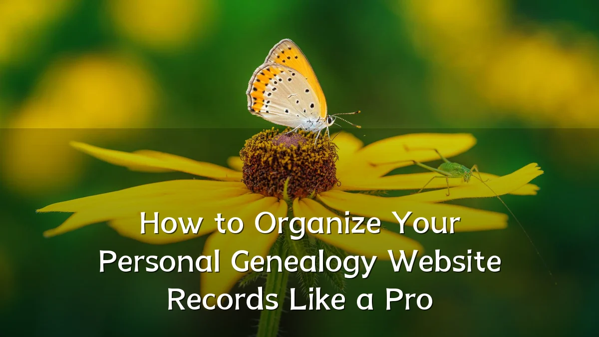 How to Organize Your Personal Genealogy Website Records Like a Pro