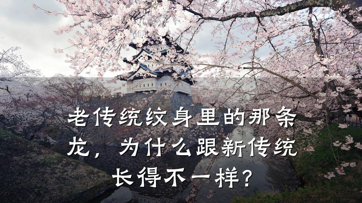 老传统纹身里的那条龙,为什么跟新传统长得不一样?